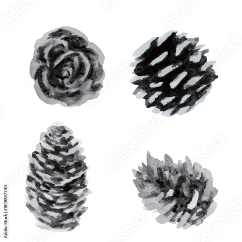 watercolor pine cones