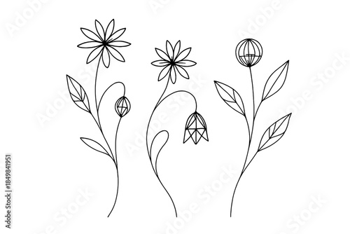 Geometric Botanical Design. "Cyber-stitched botanical design". Minimalistic one-line drawing [of plant stems