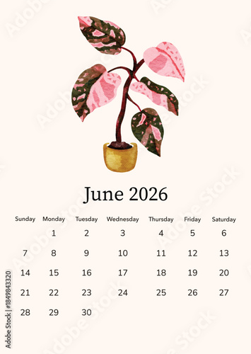 June 2026 calendar vector illustration combining botanical decor with functional planning