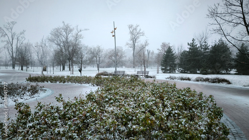 snowy winter in the city park in Novi Sad