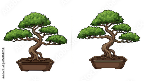 Bonsai Trees in Brown Potted Planters.