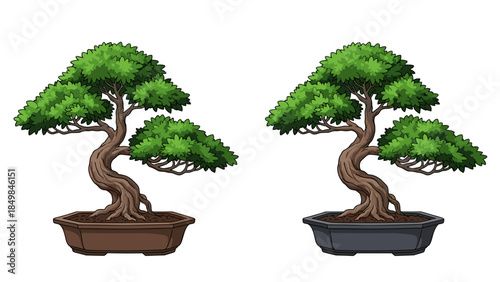Bonsai Trees in Pots Illustration.