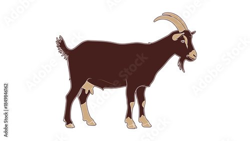 Brown Goat with Curved Horns Standing 1.