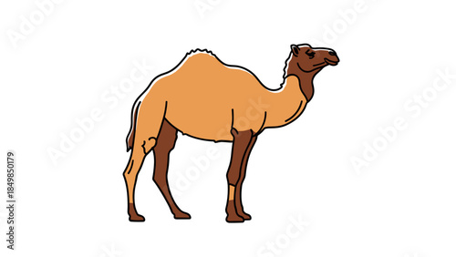 Camel Standing Profile Illustration.