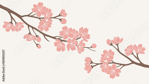 Cherry Blossom Branch with Pink Flowers.
