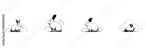 Rabbit Evolution Doodle Sketch Set. Growth And Development Of Rabbits In Hand Drawn Style Collection. Illustrating Different Stages Of Rabbit Life. Hand Drawn Isolated Vector Illustration