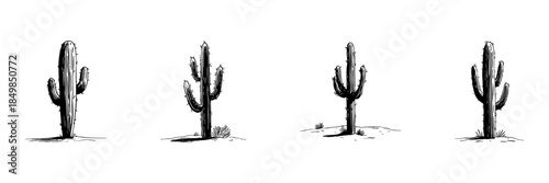 Cactus Doodle Sketch Set. Desert Plant Illustrations In Hand Drawn Style Collection. Southwestern Nature And Succulent Art. Isolated Vector Illustration