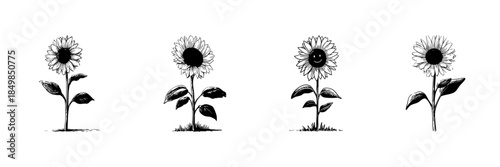 Sunflower Doodle Sketch Set. Botanical Illustration And Nature Symbolism In Hand Drawn Style Collection. Floral Art With Smiling Face Variation. Isolated Vector Illustration