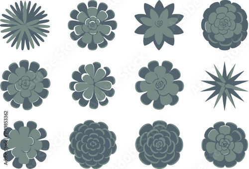 Various Succulent Plant Icons in Gray on White Background