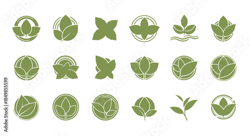 Collection of verdant leaf logos conveying organic natural and eco-friendly concepts perfect for