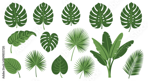 Tropical foliage collection showcasing monstera and palm leaves in vibrant green tones