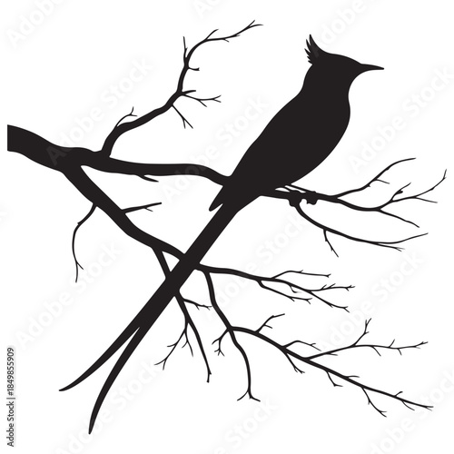 Bird on Bare Branch Silhouette Nature Art