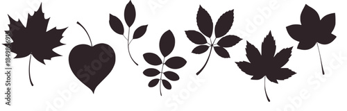 Black and white silhouette of various leaves and heart shape white