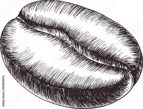 Detailed black and white engraving of closed human lips texture