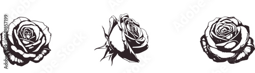 Monochrome artistic roses and leaves silhouette black