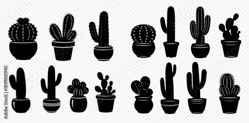 Set of various black silhouette cactus and succulent plants in pots isolated on transparent background.