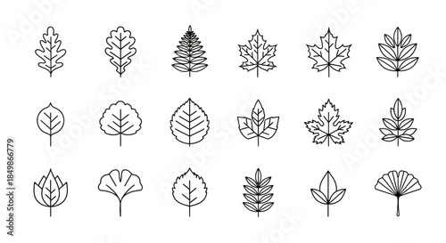 Elegant leaves line art collection for design and decoration botanical illustration vector set