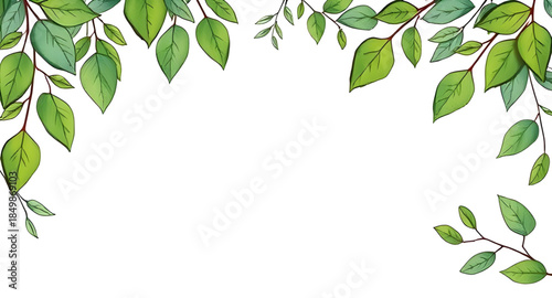 green leaves frame vector art, botanical plant border illustration, tropical foliage frame background, nature leaf frame design, eco friendly botanical border, jungle greenery frame vector, floral lea