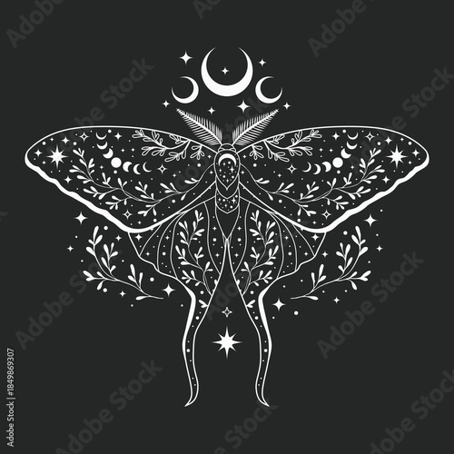 Black and white moth illustration. For cards, invitations, T-shirts and more.