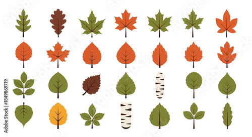 Colorful autumnal leaf collection with diverse species illustrations for design projects