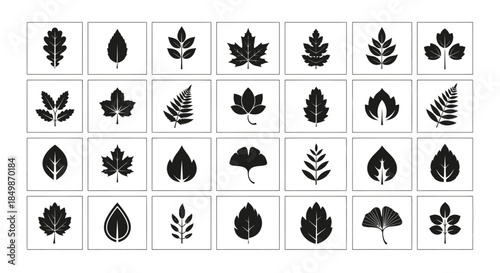 Leaf Variety Set: A diverse collection of silhouettes representing numerous leaf species, creating