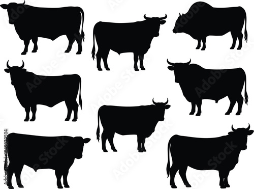 Bovine animal silhouette vector illustration, cattle breed comparison graphic, livestock anatomy design, farm animal shape artwork, agricultural species identification image