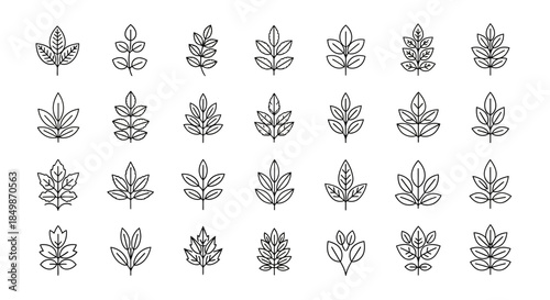 Collection of minimalist leaf icons representing various botanical species for graphic design