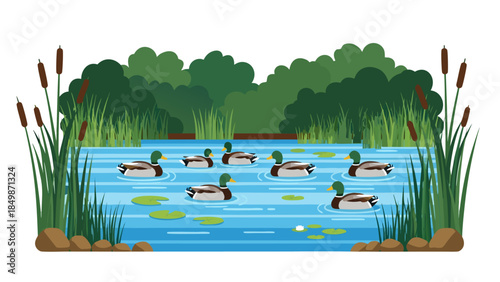 Illustrative scene of ducks swimming on a pond, vibrant reeds, lily pads, and trees in a serene natural setting