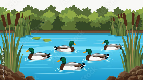 A charming vector illustration depicting a group of mallard ducks gracefully swimming on a serene pond surrounded by lush green reeds and towering trees under a clear sky