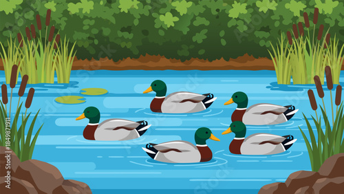 Vibrant illustration of six colorful mallard ducks gracefully swimming in a serene pond, surrounded by lush green reeds and trees, portraying a peaceful natural habitat