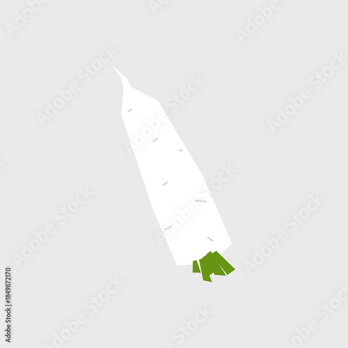 Fresh daikon illustration. Simple icon of root vegetable for farmers market advertising. Vector symbol of harvested salad vegetables in minimal flat style.