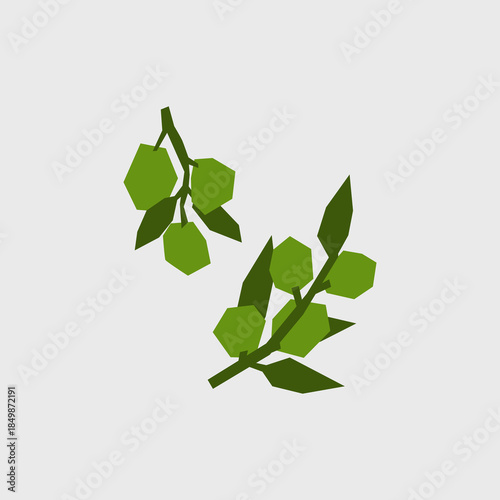 Fresh olives on a branch illustration. Simple icon of olive for farmers market advertising. Vector symbol of harvested spices in minimal flat style.