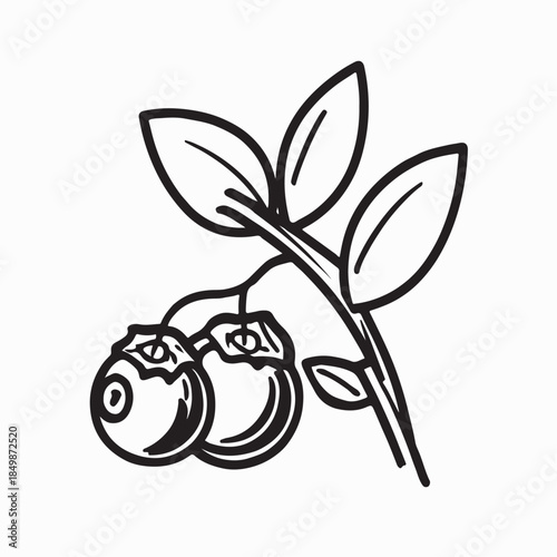 Blueberry Logo Vector Template Icon Illustration Design on White Background