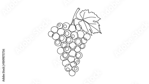 Bunch of fresh grapes with leaf
