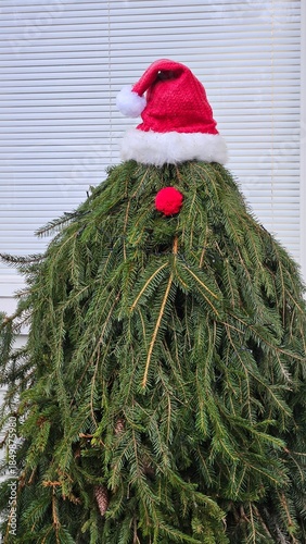Minimalist Christmas Tree with Santa Hat and Red Nose Outdoors