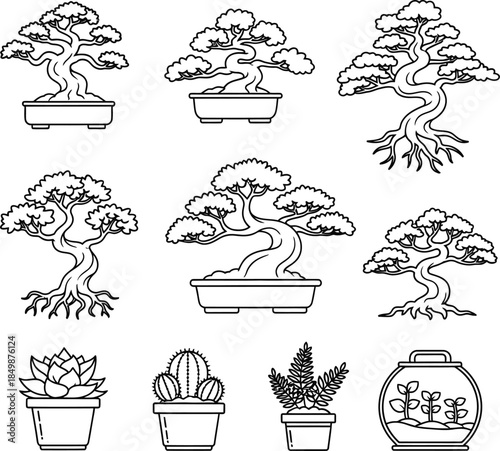 Set of bonsai trees and potted plants illustrations isolated on transparent background