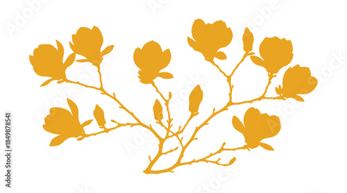 A set of twigs featuring blooming magnolias. Vibrant flowers on a white background.

