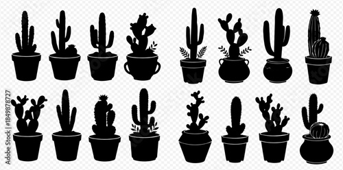 Collection of various potted cactus silhouettes on a transparent background, perfect for desert-themed designs.