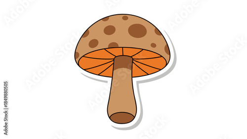 wooden spoon isolated on white