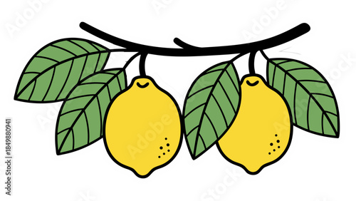 vector illustration of pear