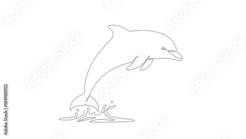 Dolphin jumping out of water in a dynamic swimming motion