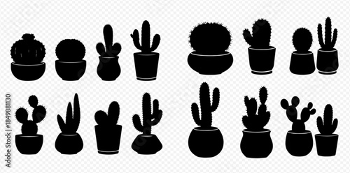 Collection of various potted cactus and succulent plant silhouettes on a transparent background.