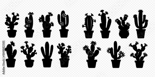 Collection of various cactus and succulent plant silhouettes in pots, perfect for desert-themed designs and botanical illustrations.