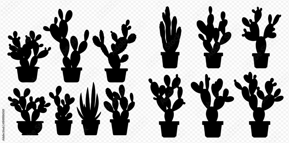 Fototapeta premium Collection of various potted cactus and succulent plant silhouettes on a transparent background.