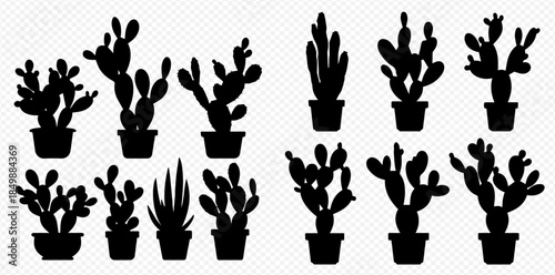 Collection of various potted cactus and succulent plant silhouettes on a transparent background.