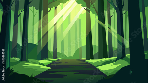 Sunlight shining through trees in a green forest