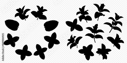 Silhouettes of various leaves and plants arranged in circular patterns on a transparent background.