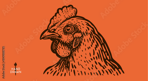 Chicken, farm hen sketch. Hand drawn. Vintage retro print hen, black drawing chicken, engrave old school style. Sketch artwork silhouette rooster, chicken, hen, white background. Vector Illustration
