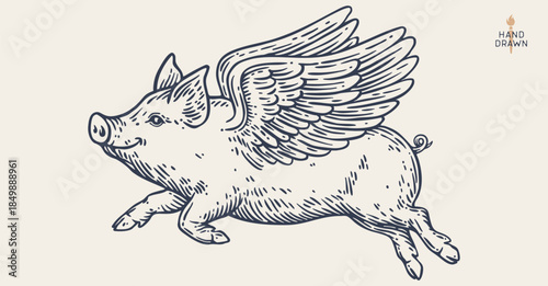Fly piggly, pig, piglet with wings. Vintage retro pig print, black white fly piggly drawing, piglet with wings, grunge pig old school style. Silhouette angel pig, piglet, piggly. Vector Illustration
