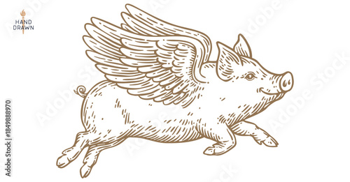 Fly piggly, pig, piglet with wings. Vintage retro pig print, black white fly piggly drawing, piglet with wings, grunge pig old school style. Silhouette angel pig, piglet, piggly. Vector Illustration